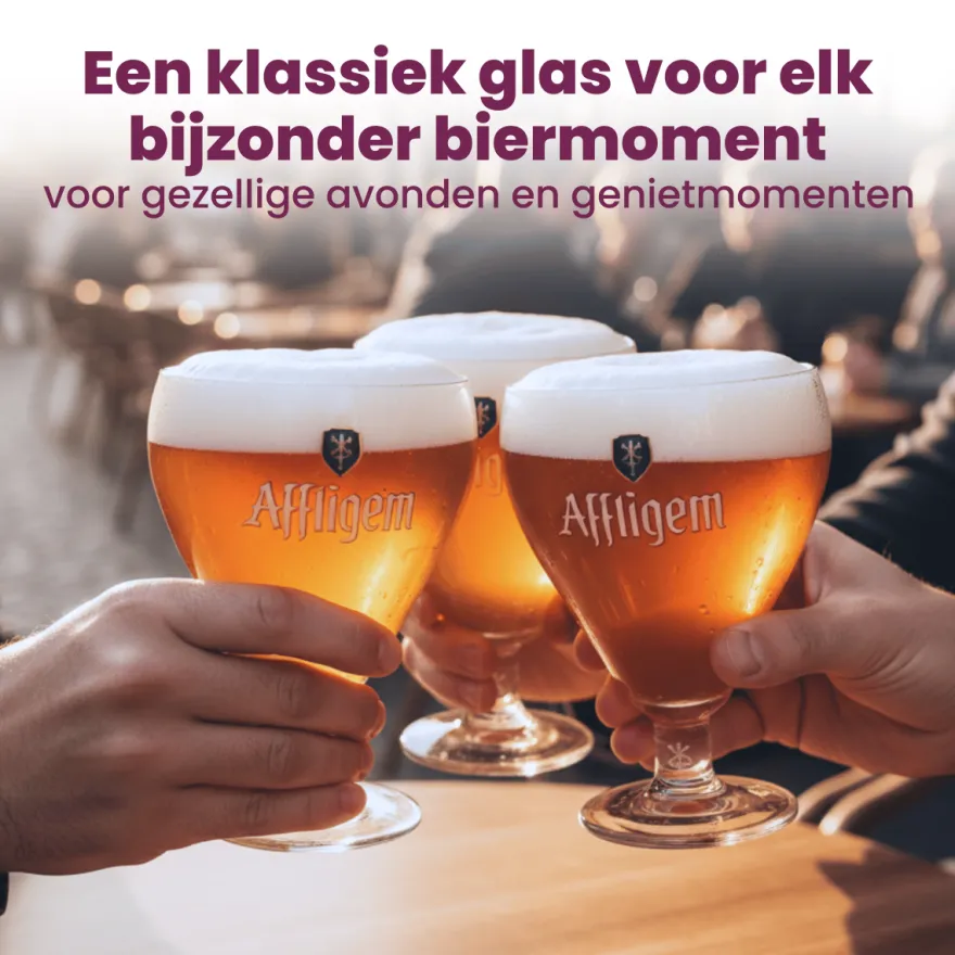 Affligem Bierglazen - 300 ml - 6 stuks