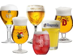 Bierglazen cadeau set - Bierkenner - 6 stuks