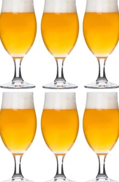 Bormioli Rocco Bierglazen Executive - 260 ml - 6 stuks