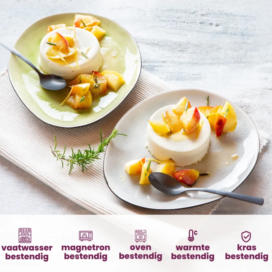 Cosy & Trendy Ontbijtborden / Dessertborden Streetfood 19.5 x 16 cm - 10 Stuks