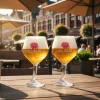Delirium Bierglazen op Voet - 330 ml - 6 stuks