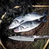 Forged Koksmes Intense 20.5 cm