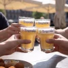 Hoegaarden Bierglazen Witbier - 250 ml - 6 stuks
