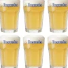 Hoegaarden Bierglazen Witbier - 330 ml - 6 stuks