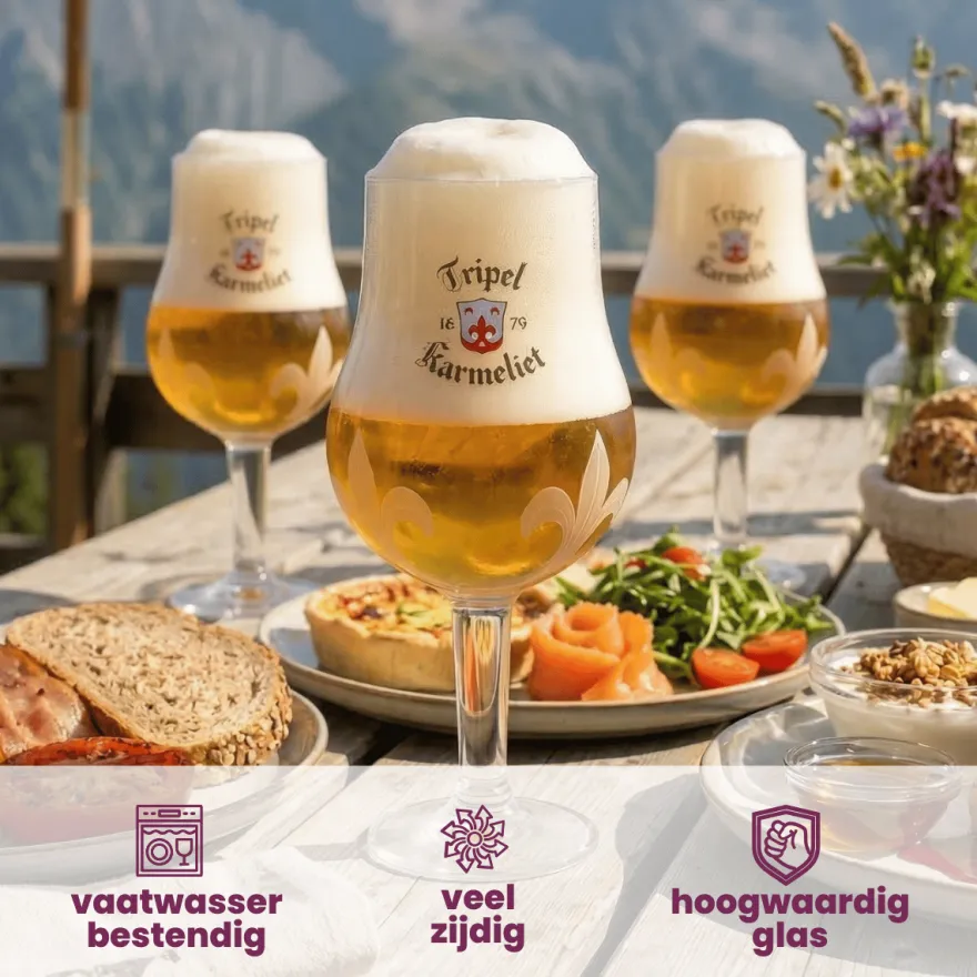 Karmeliet Bierglazen 330 ml - 4 Stuks