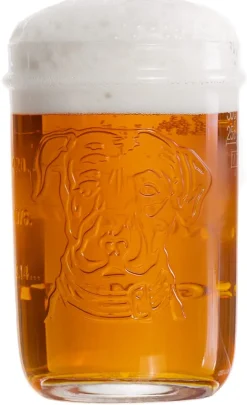 Lagunitas Bierglazen 300 ml - 2 stuks
