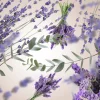 Maison Berger Navulling - voor geurstokjes - Lavender Fields - 200 ml
