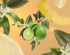 Maison Berger Navulling - voor geurstokjes - Lemon Flower - 200 ml