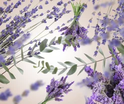 Maison Berger Navulling - voor geurbrander - Lavender Fields - 1 Liter
