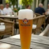 Paulaner Bierglazen Weizen - 500 ml - 2 stuks