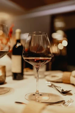 Riedel Rode Wijnglazen Grape@Riedel - Pinot Noir / Nebbiolo / Aperitivo - 750 ml - 2 Stuks