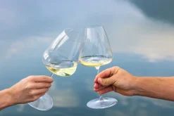 Riedel Witte Wijnglas Winewings - Sauvignon Blanc - 742 ml