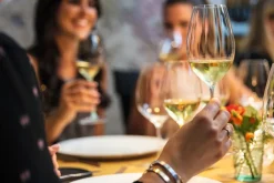 Riedel Witte Wijnglazen Performance - Sauvignon Blanc - 440 ml - 2 stuks