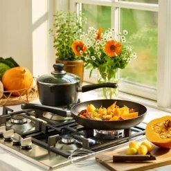 SCANPAN Pannendeksel Classic - Glas - ΓΈ 20 cm - Universeel
