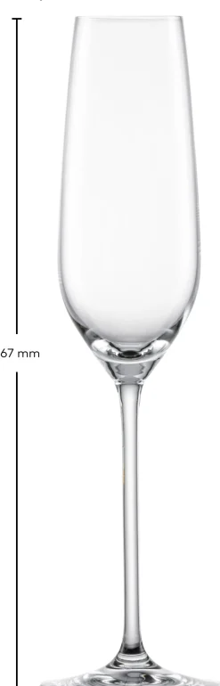 Schott Zwiesel Champagneglazen - Flutes - Fortissimo - 240 ml - 4 stuks