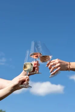 Schott Zwiesel Wijnglazenset MioVino 12-delige - Rode wijnglazen, Witte wijnglazen en Champagneglazen